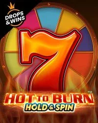 Hot to Burn Hold and Spin — jucat în testul Player
